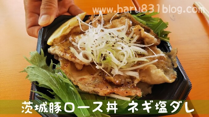 茨木豚ロース丼ネギ塩ダレの写真