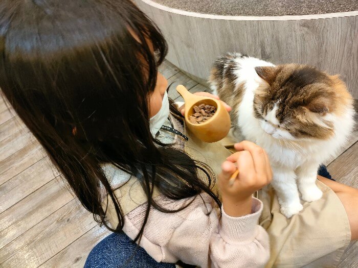 おやつの猫まんまをあげる娘の写真