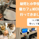 子連れで猫カフェMOCHAへ行きました。